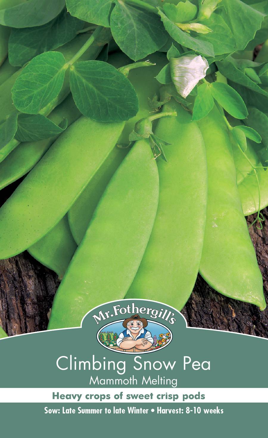 Seeds D Climbing Snow Pea Mammoth Melting