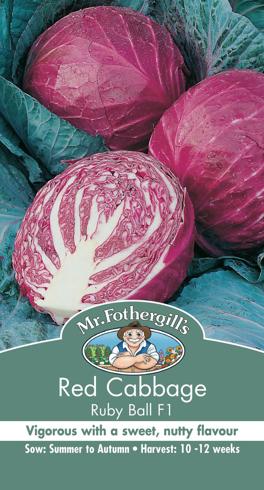 Seeds D Cabbage Red Ruby Ball F1