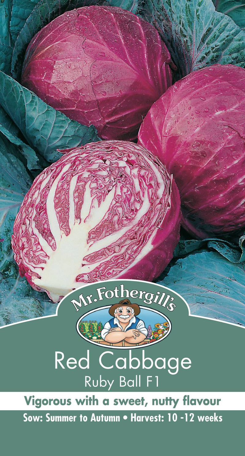 SEEDS D CABBAGE RED RUBY BALL F1