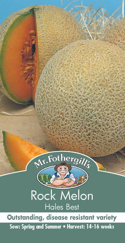 Seeds A Rock Melon Hales Best