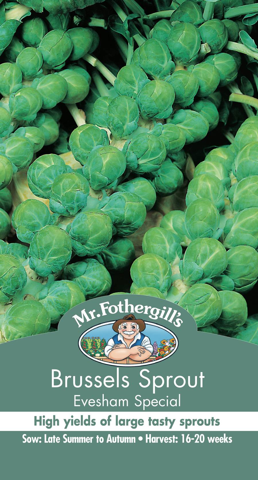 Seeds C Brussels Sprouts Evesham Special