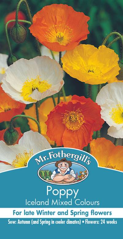 Seeds B Poppy Iceland Mixed