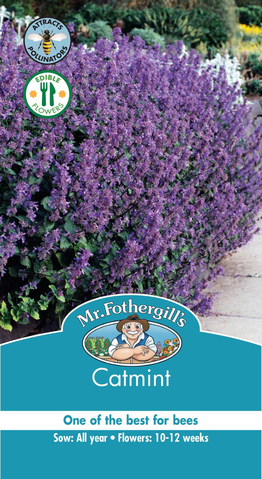 Seeds A Catmint