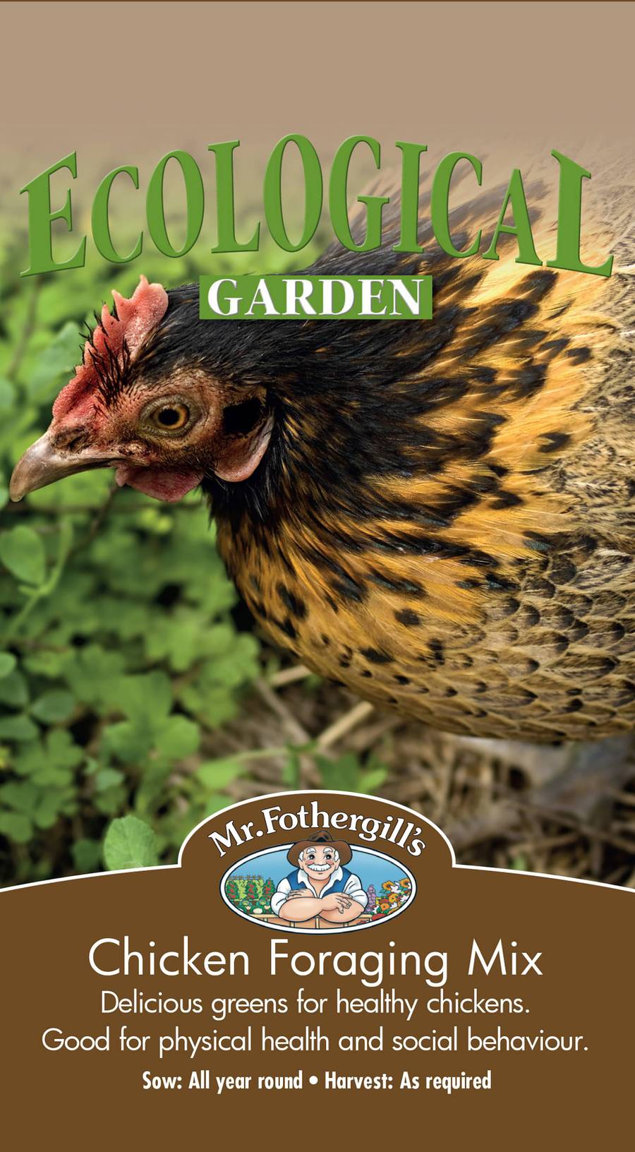 Seeds D Chicken Foraging Mix