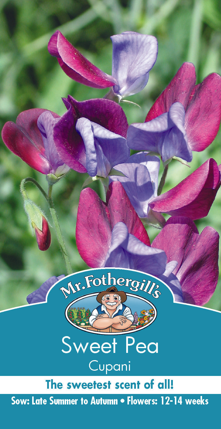 Seeds C Sweet Pea Cupani