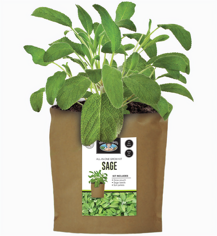 Grow Pouch In Bag - Sage