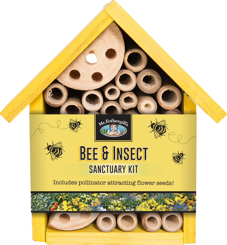 Bee And Insect House Small