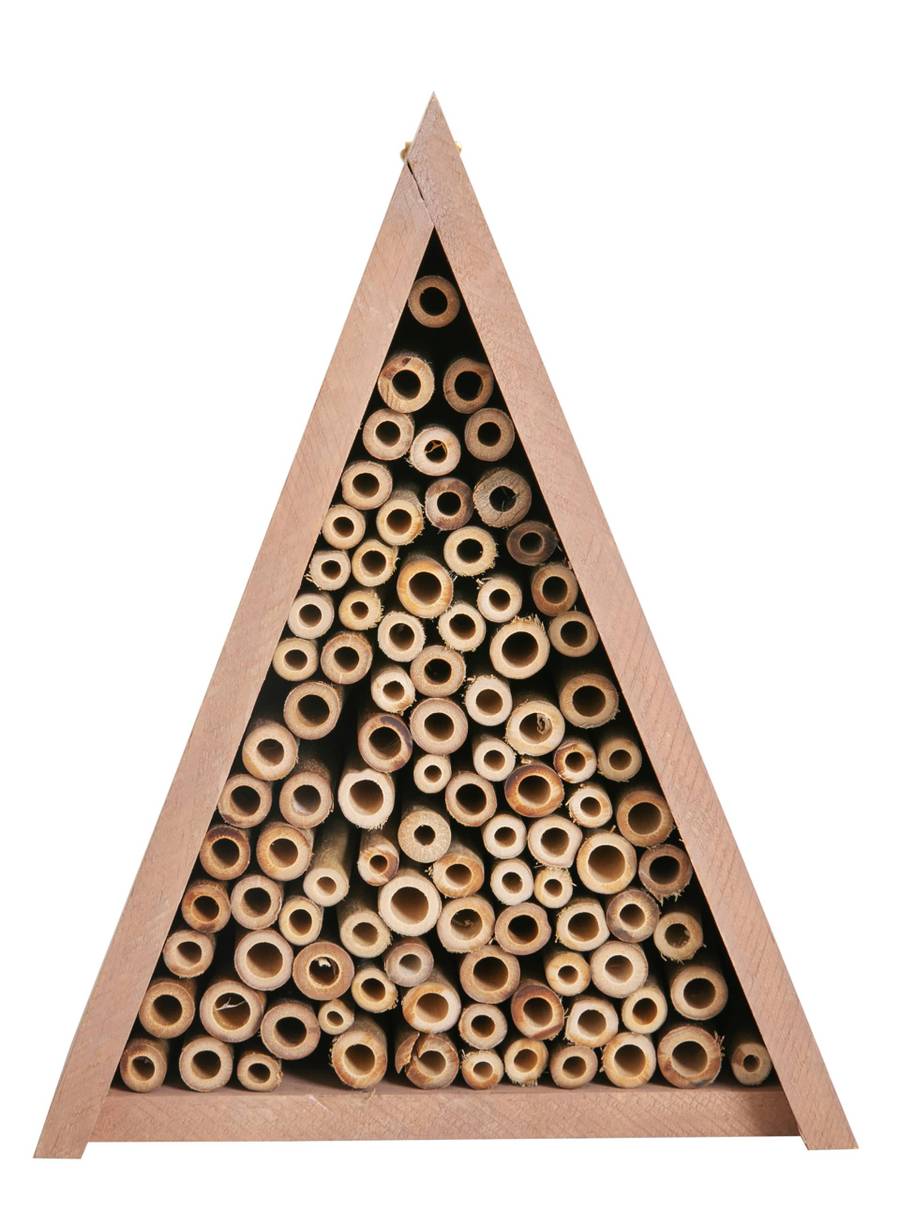 Bee House Triangle Paulownia