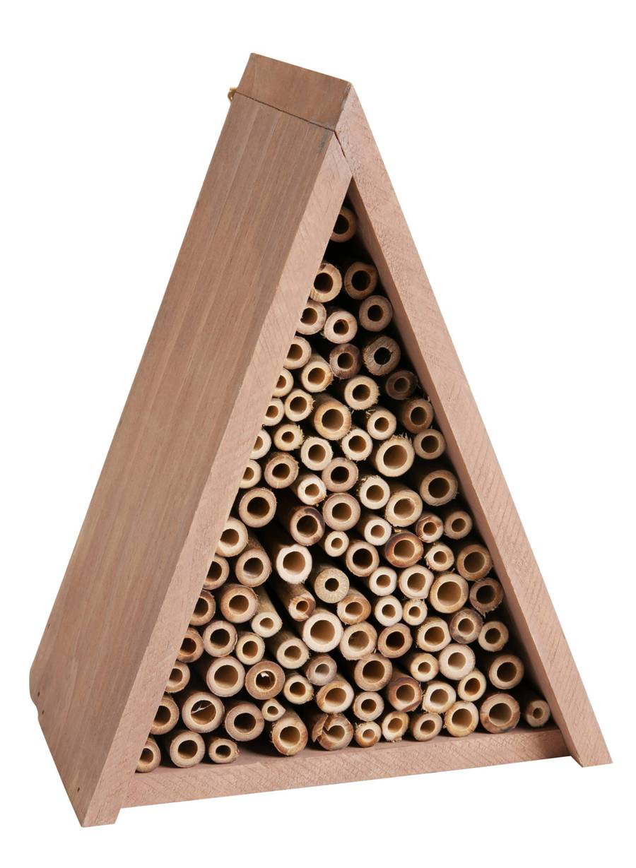 Bee House Triangle Paulownia