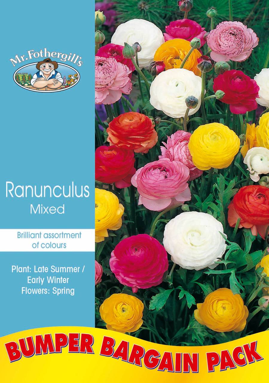 Bulbs E Bumper-Pack - Ranunculus Mixed