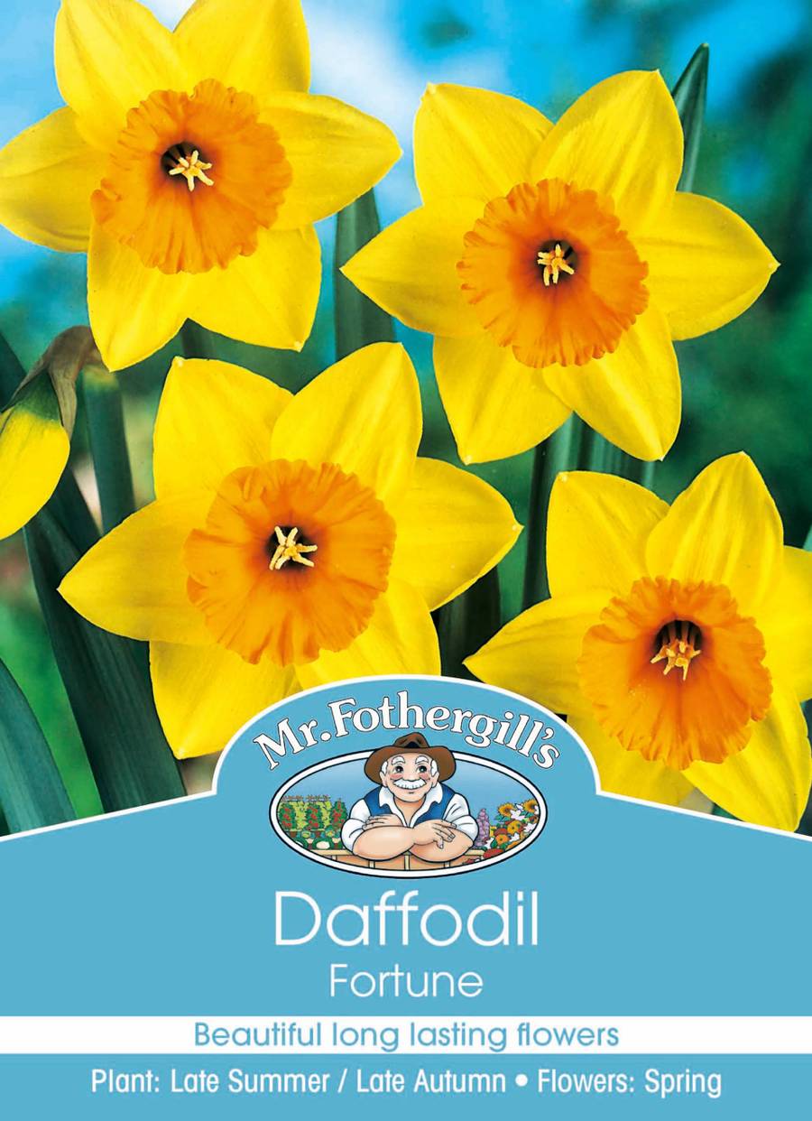 Bulbs A Daffodil Fortune
