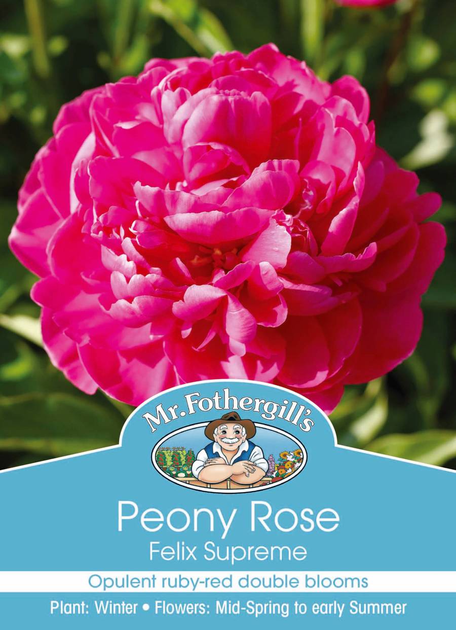 Mr Fothergill's - Peony Rose Felix Supreme Bulbs