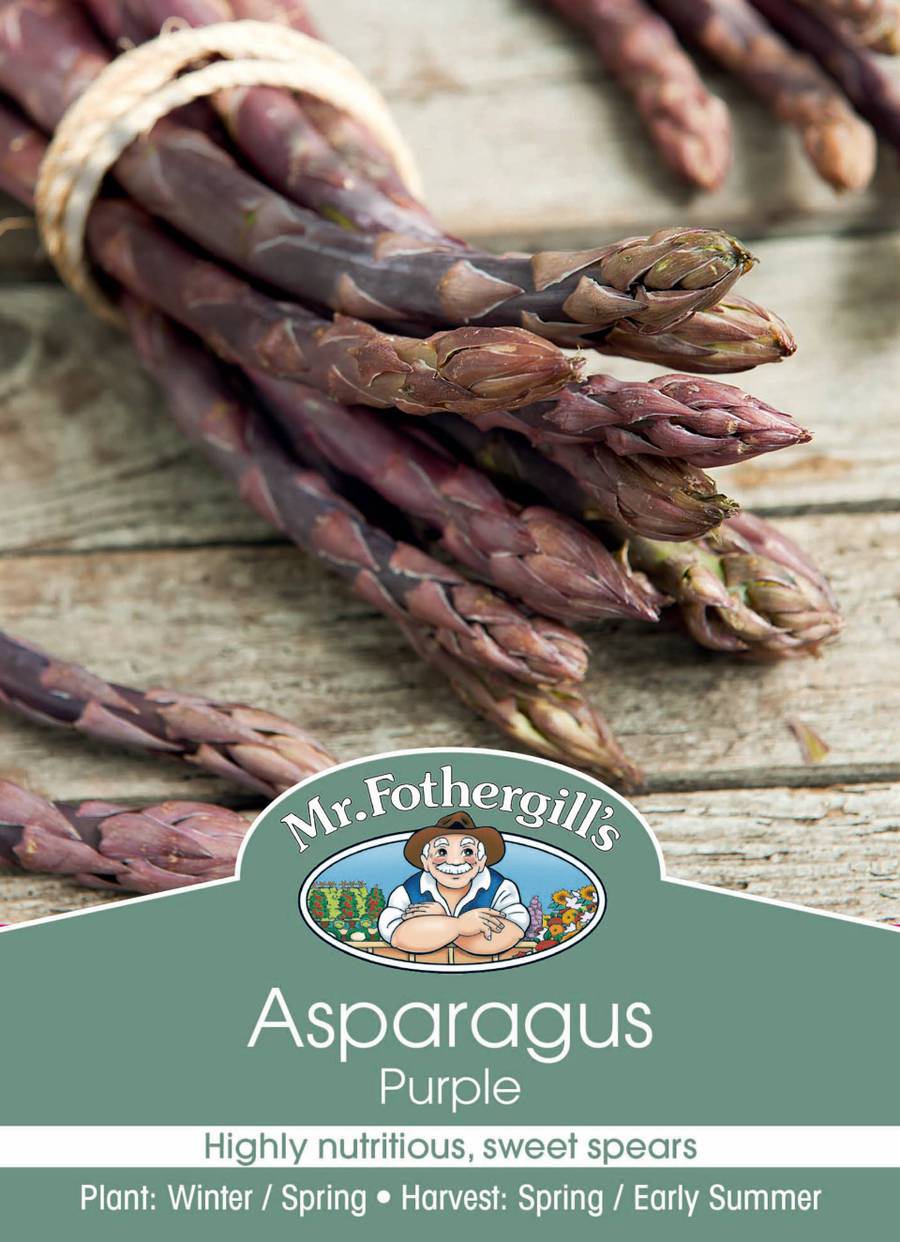 Produce D2 Asparagus Purple