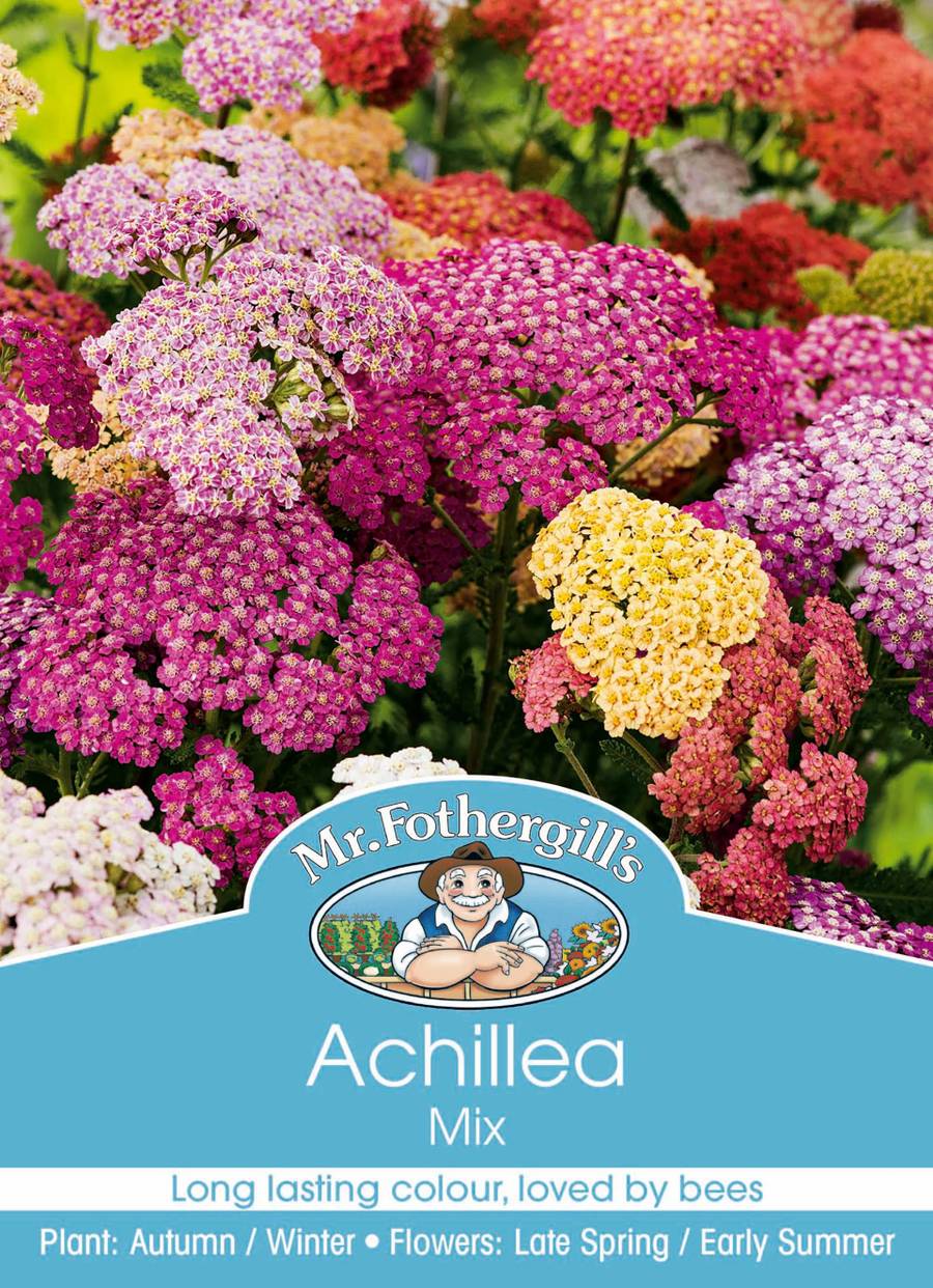 Mr Fothergill's - Achillea Mixed Bulbs