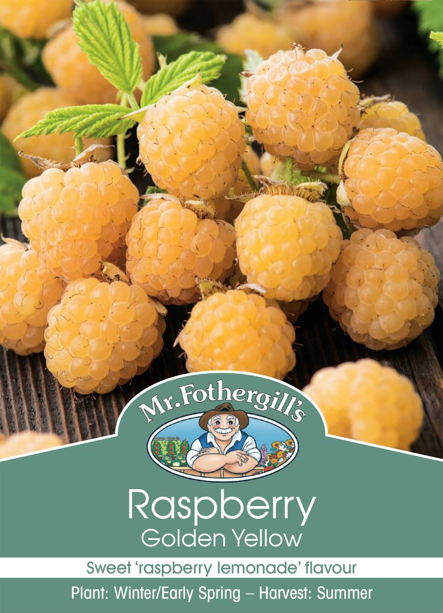 Mr Fothergill's - Raspberry Golden Yellow Cane - 1 Cane