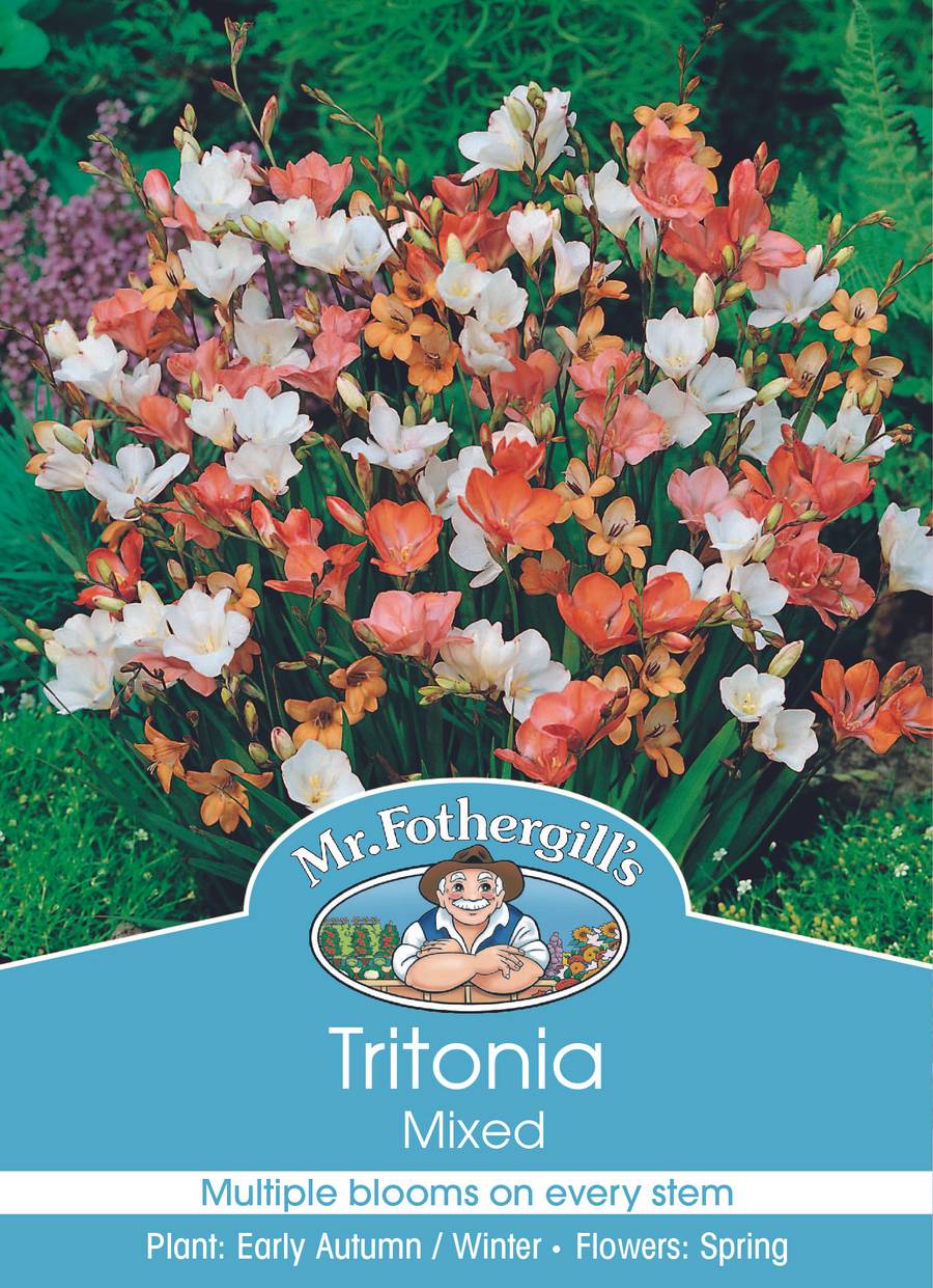 Mr Fothergill's - Tritonia Mixed Bulbs