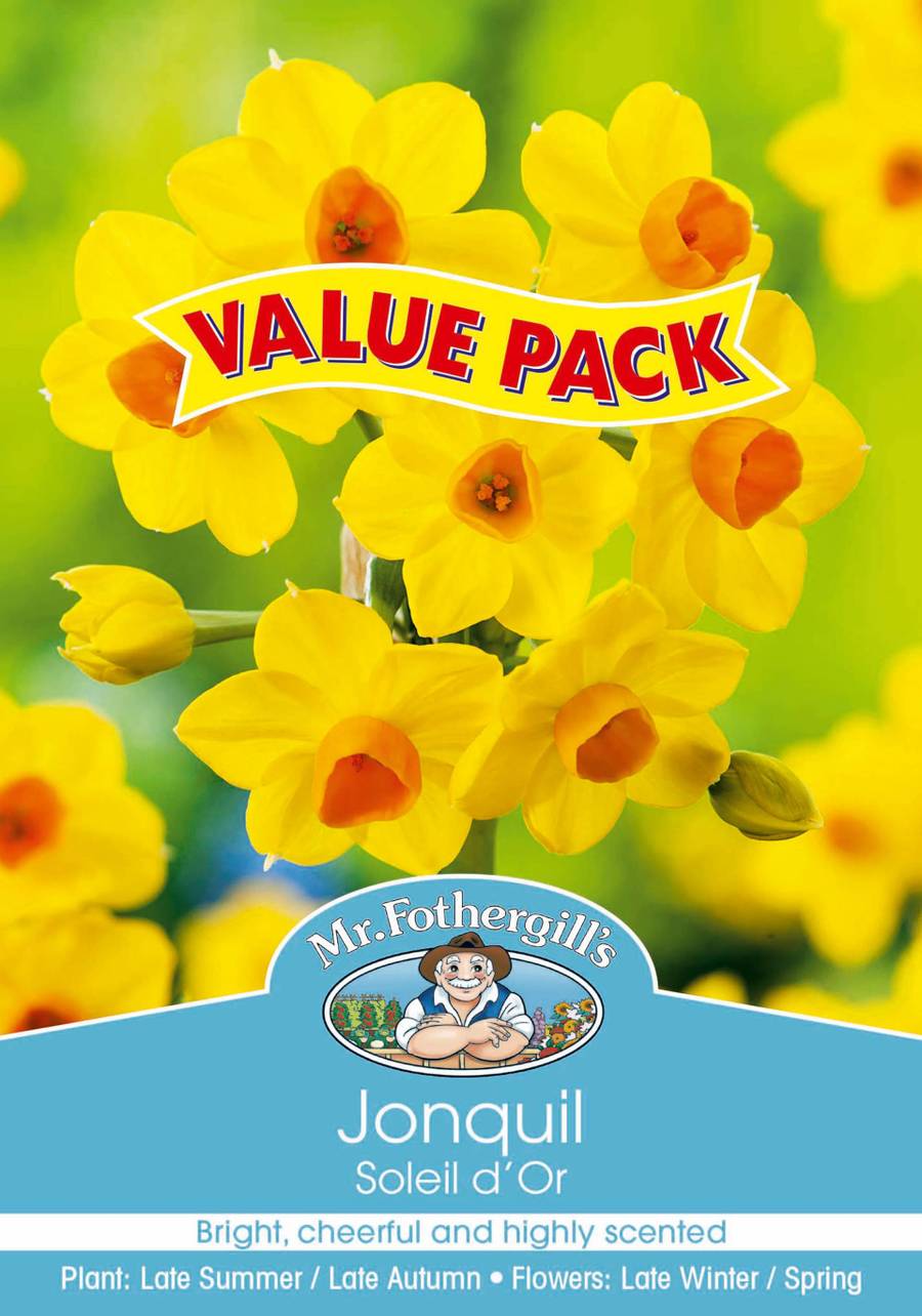 Bulbs D Value-Pack - Jonquil Soleil Dor