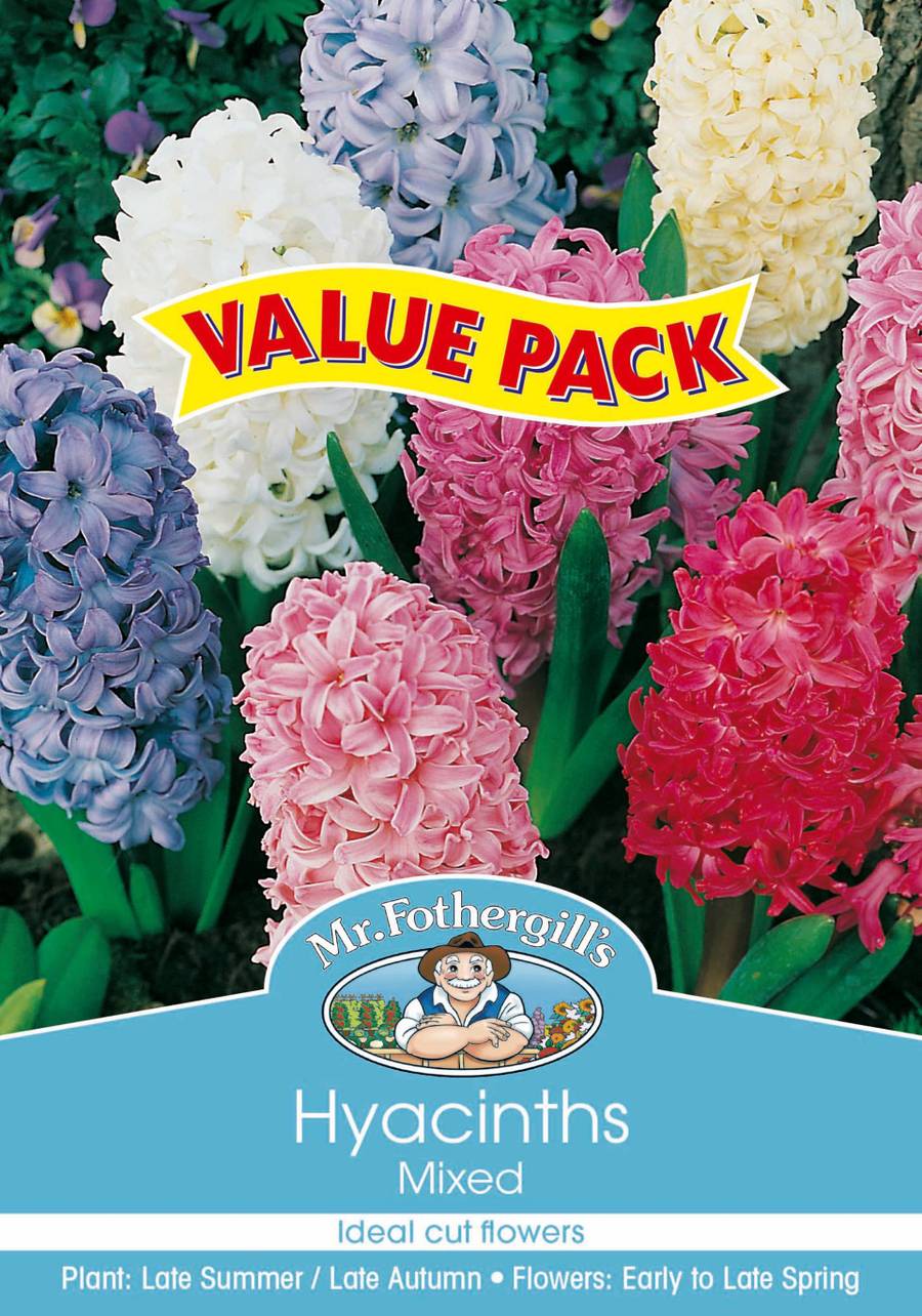 Bulbs D Value-Pack - Hyacinths Mixed