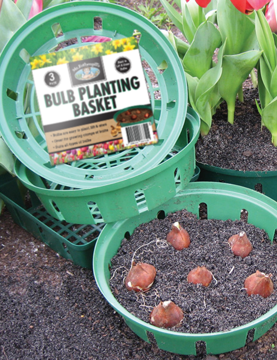 Bulb Planting And Storage Basket 26cm - Set Of 3