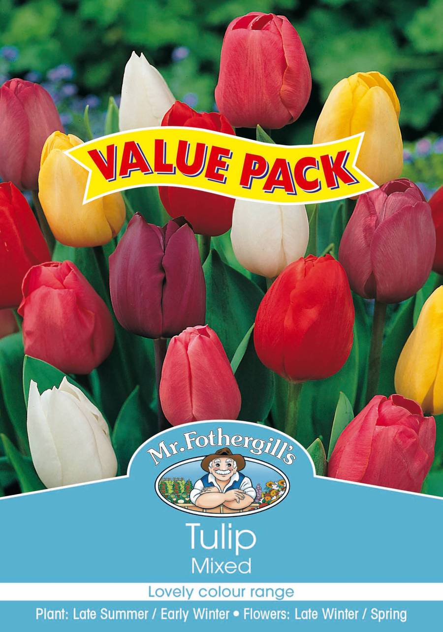 Bulbs D Value-Pack - Tulip Mixed