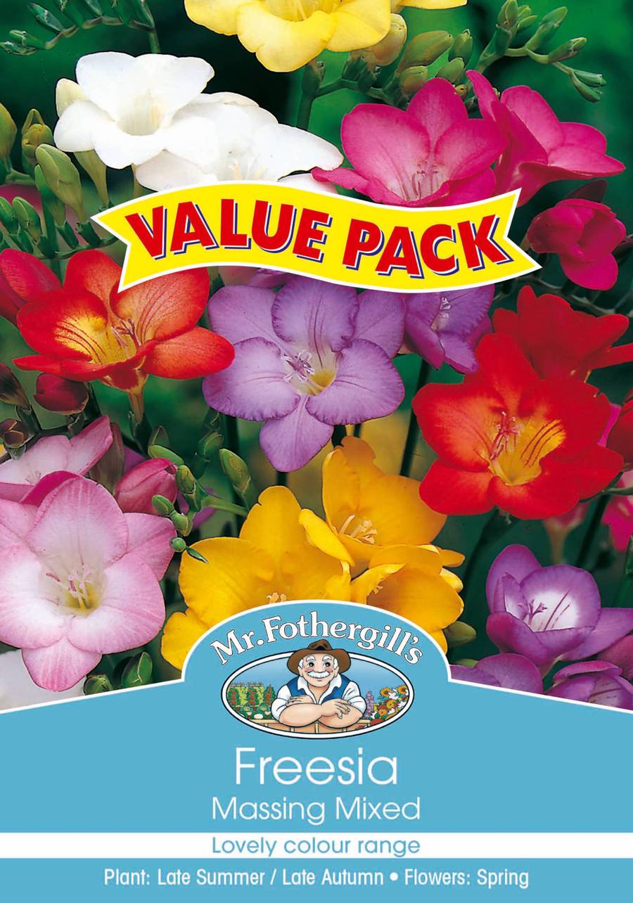 Bulbs D Value-Pack - Freesia Massing Mixed