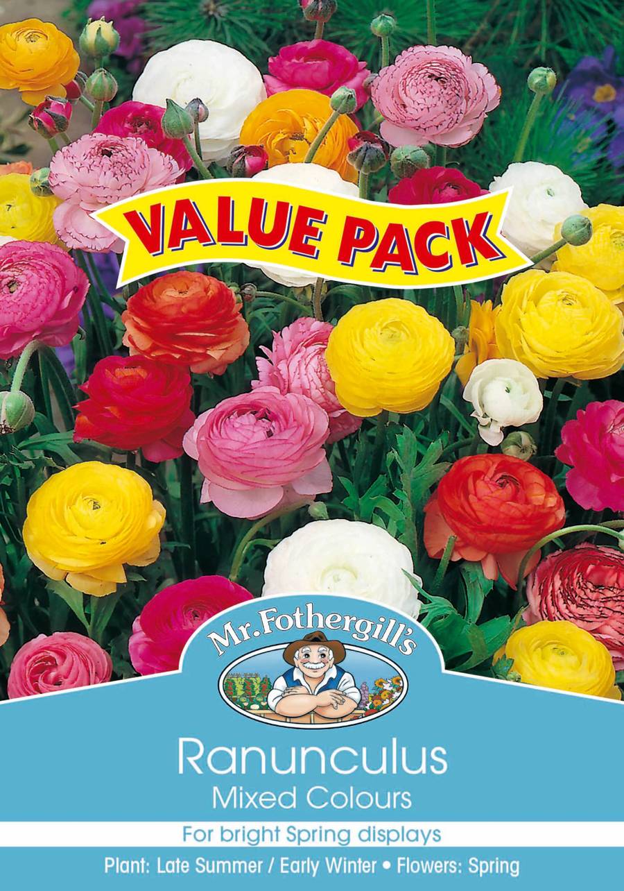 Bulbs D Value-Pack - Ranunculus Mix