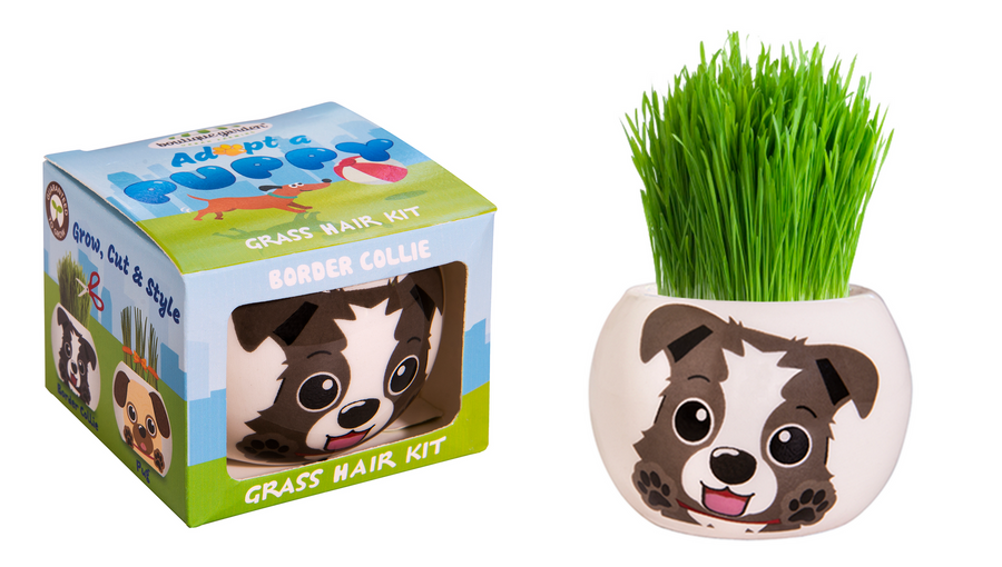 Grass Hair Kit Puppy Border Collie