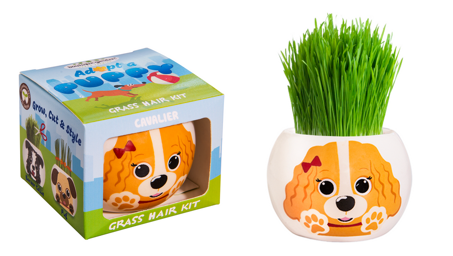 Grass Hair Kit Puppy Cavalier