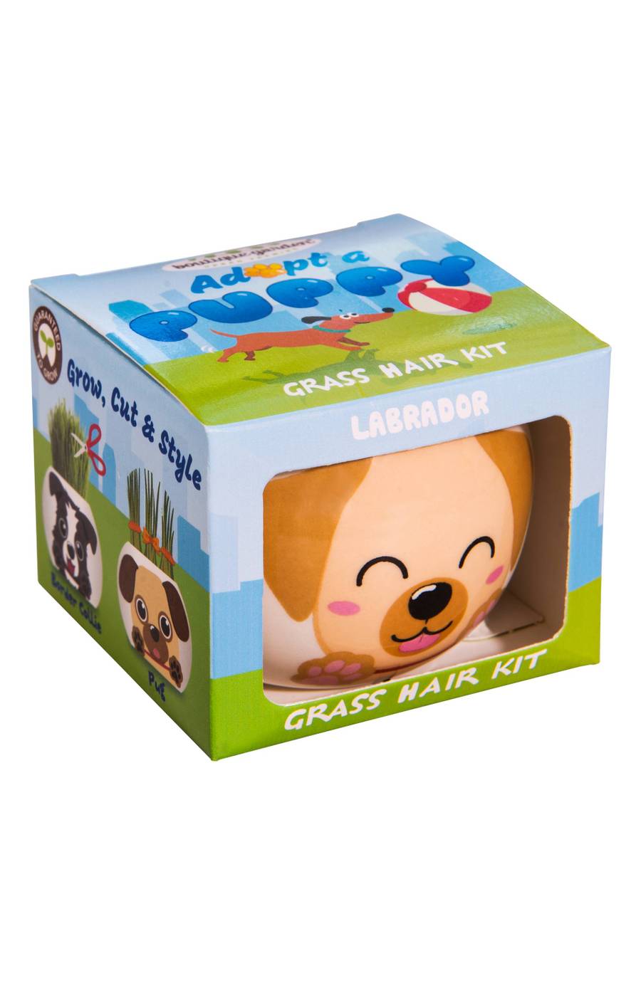 Grass Hair Kit - Puppy Labrador