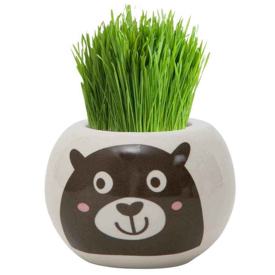Grass Hair Kit Wild Adventure Bear