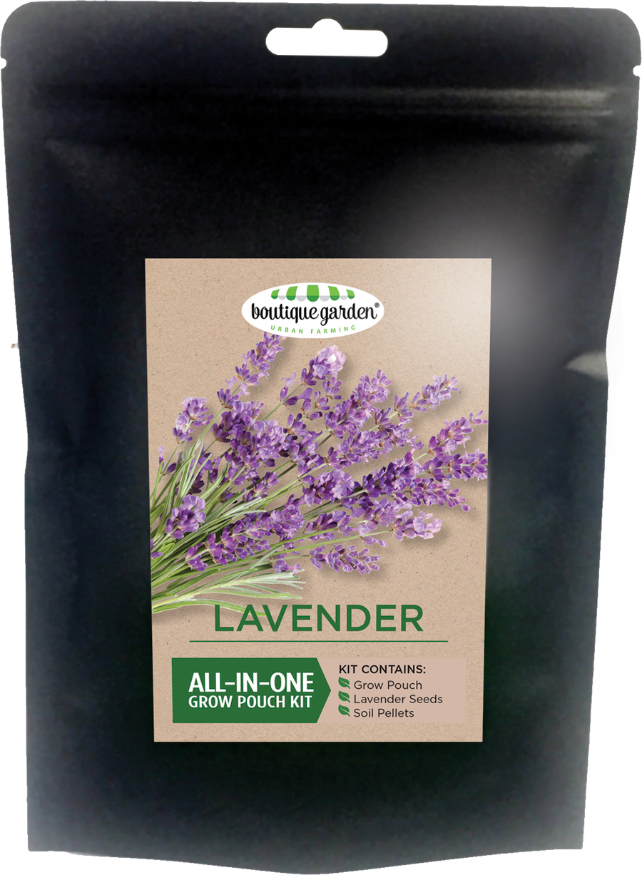 Grow Pouch Black Kit - Lavender