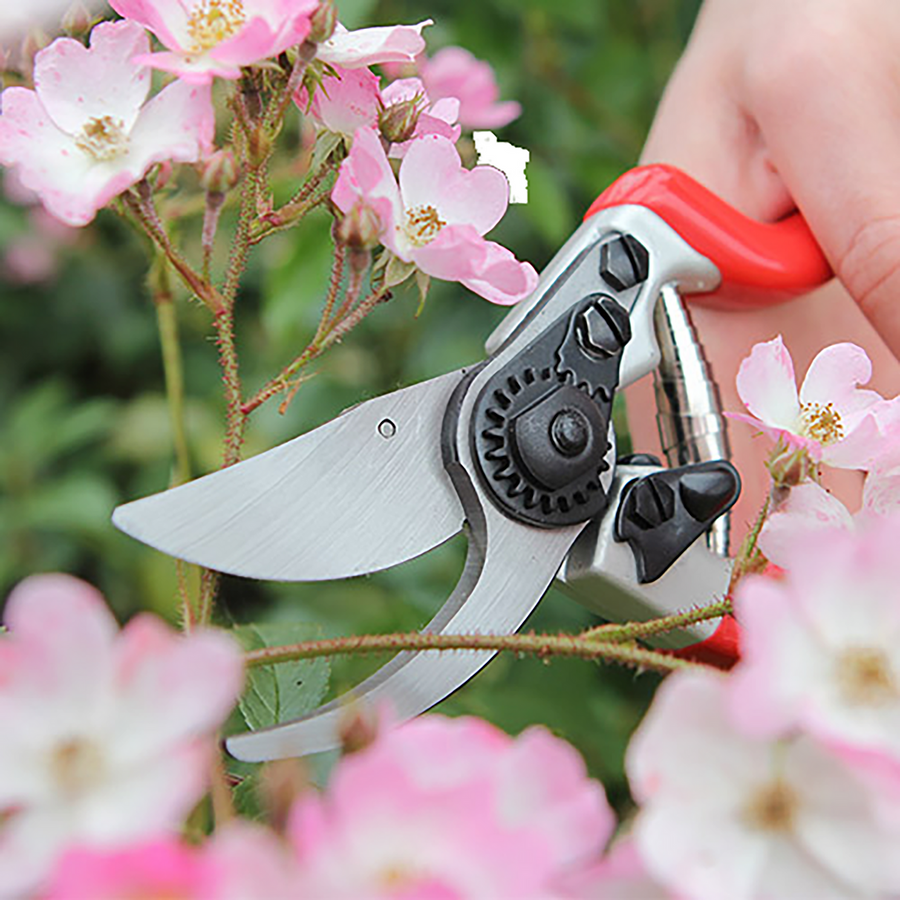 Darlac Expert Bypass Pruner