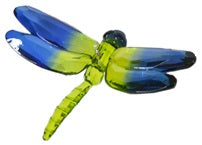 Acrylic 2-Tone Dragonfly