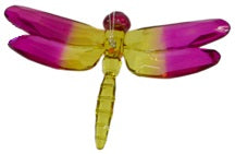 Acrylic 2-Tone Dragonfly