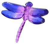 Acrylic 2-Tone Dragonfly