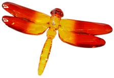 Acrylic 2-Tone Dragonfly