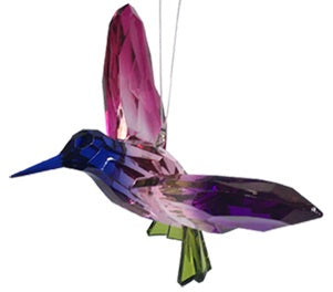 Acrylic Rainbow Hummingbird