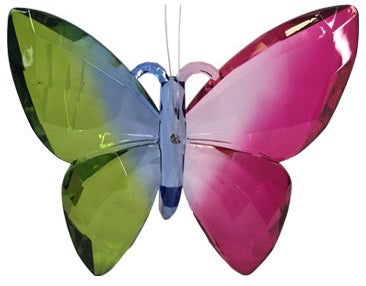 Acrylic Rainbow Butterfly