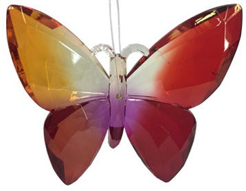 Acrylic Rainbow Butterfly