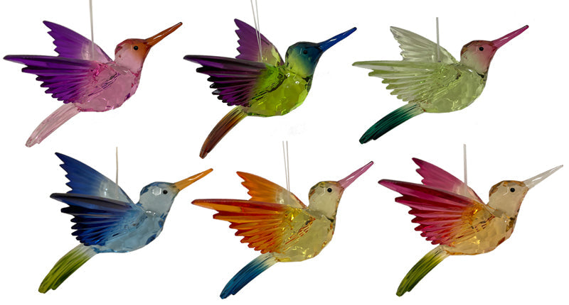 Acrylic Radiant Hummingbird