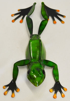 Metal Frog