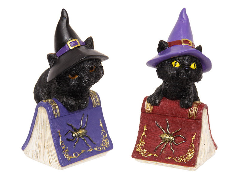 Cat On Spell Book