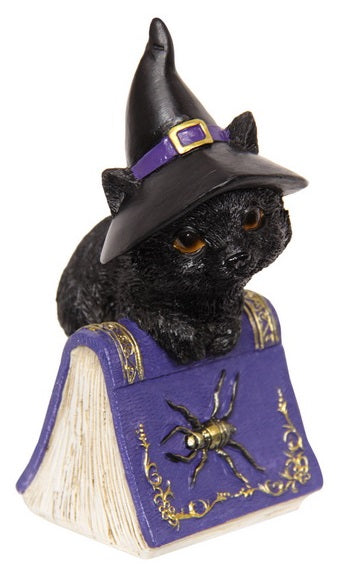 Cat On Spell Book