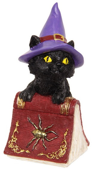 Cat On Spell Book