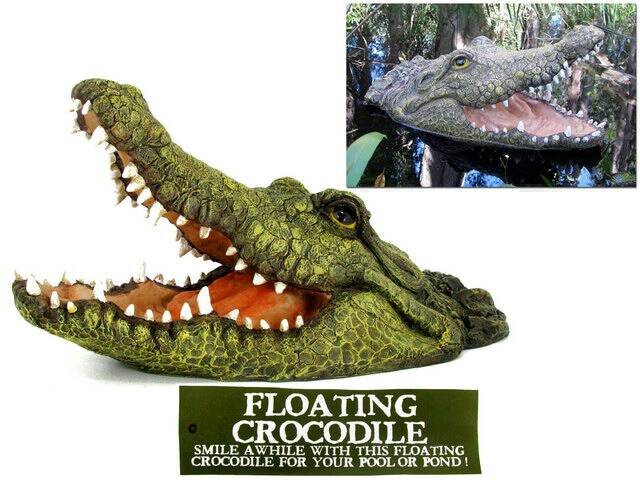 Floating Crocodile With Mouth Open
