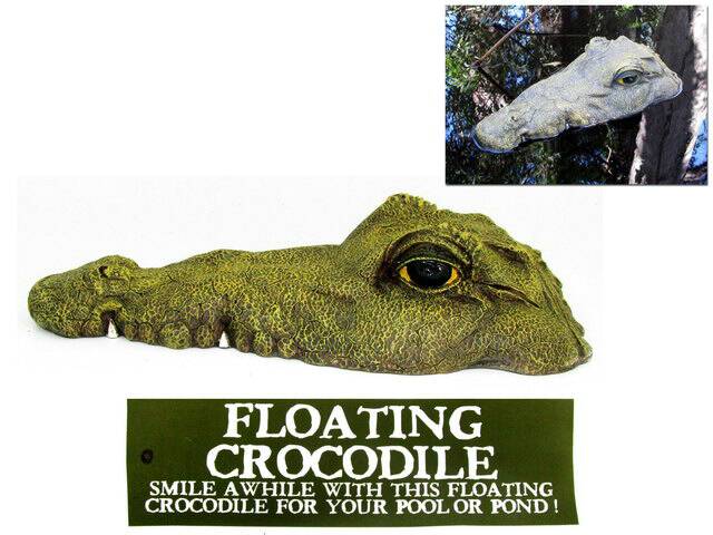 Floating Crocodile With Mouth Closed