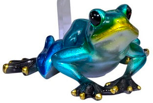 Frog Sitting Shiny