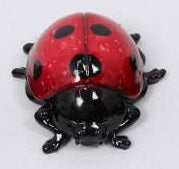 Ladybug Marble