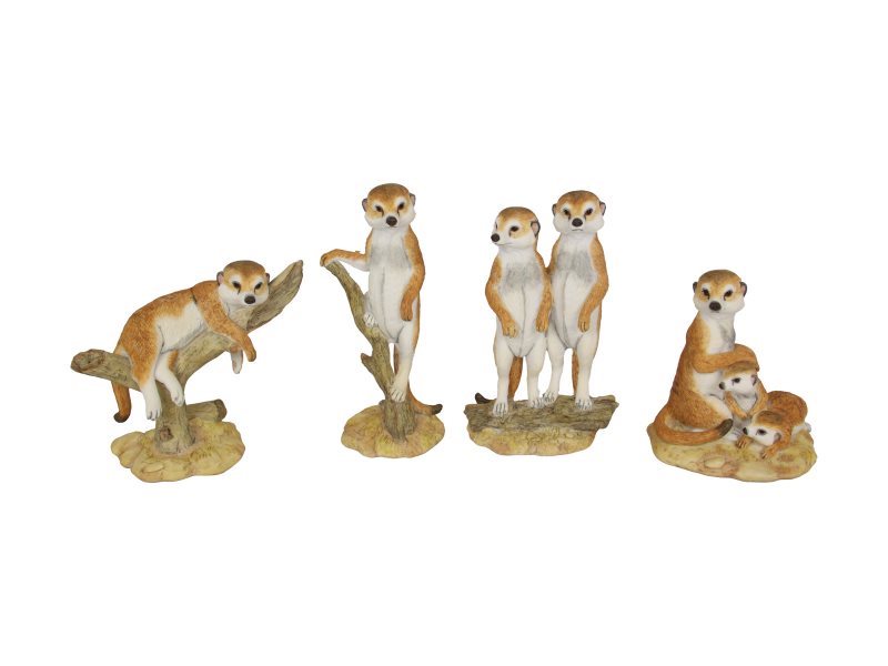 Meerkats