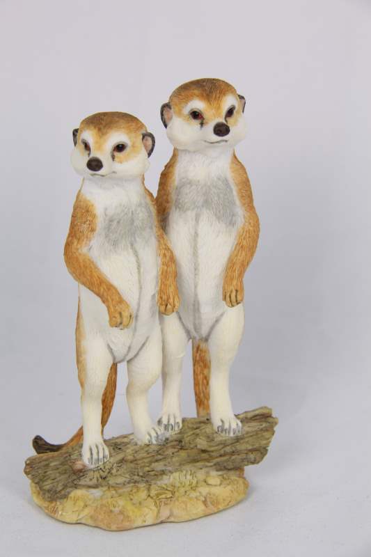 Meerkats